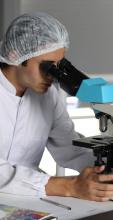 Researcher examining sample under the microscope