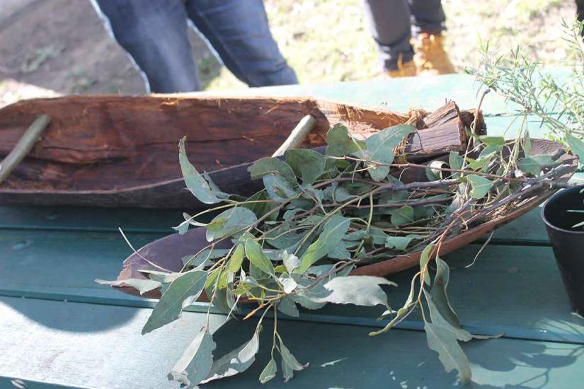 Eucalyptus leaves sit in a wooden bowl as they are prepared for a smoking ceremony