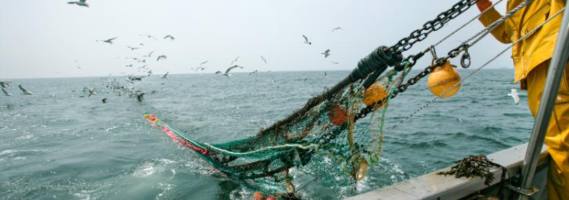 Fishing trawler. Adobe Stock Image