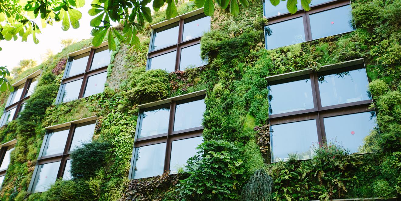 The exterior of a building, covered in greenery.