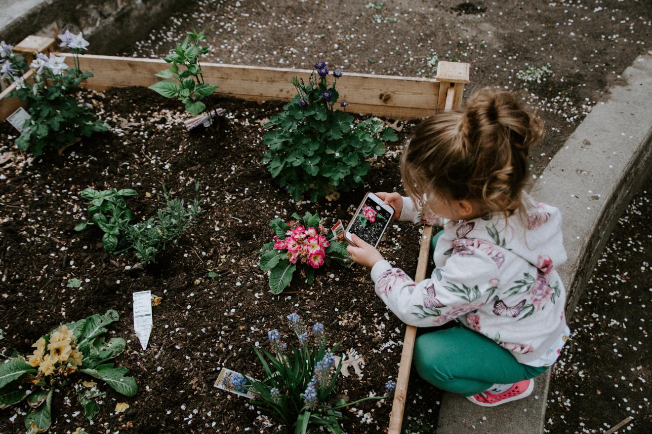 child photographing a garden