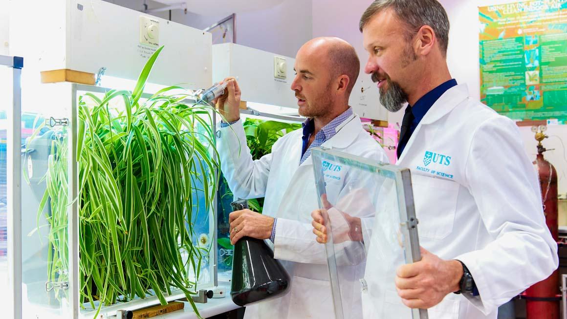 Photo of UTS researchers in a science lab examining a plant