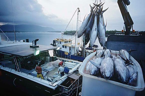 Seafood consumption is rising but domestic supply is not coping with demand