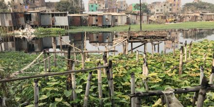 Crops next to river with makeshift buildings in background