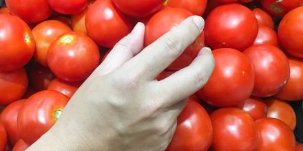 An aerial close-up of a hand choosing a red tomato from a box of many