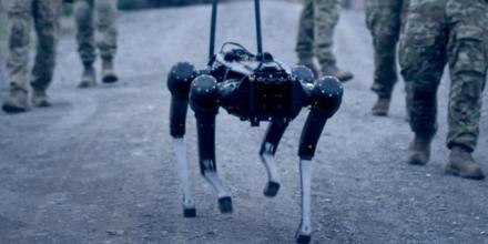 Photo of robot dog soldier