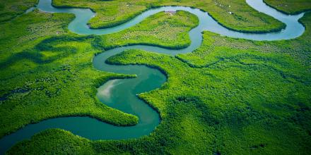 Aerial view of winding river amongst greenery