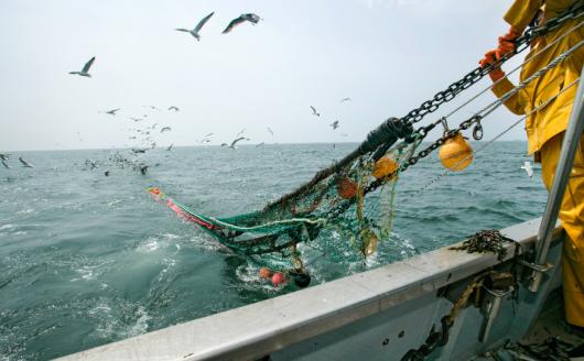 fishing trawler. Adobe Stock Image