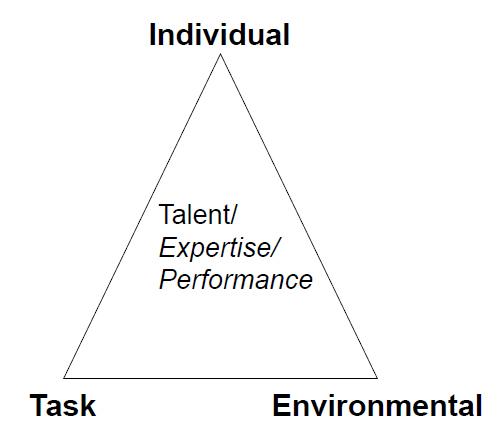Task, individual, environment triangle graph