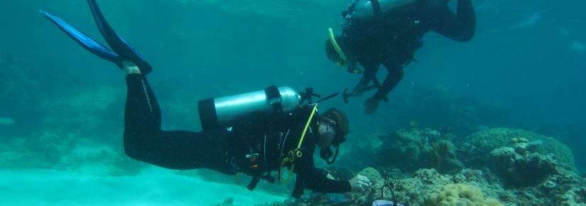 Two scientists working underwater on the Great Barrier Reef