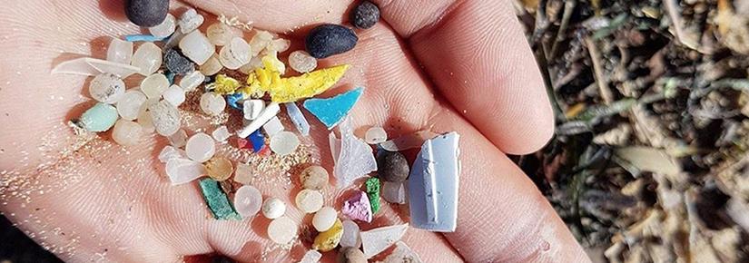 A handful of marine microplastics
