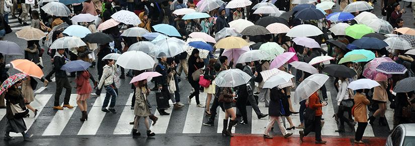 Crowds carrying umbrellas cross a city street