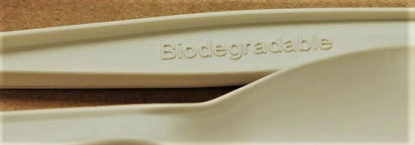 biodegradable plastic spoon