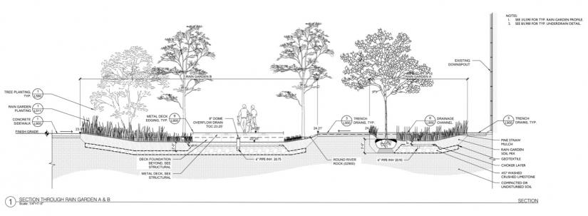 Line drawing of tulane university stormwater gardens
