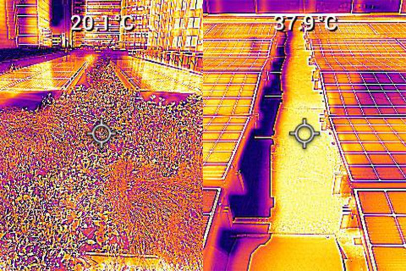 Thermal imaging showing difference between green roof and standard solar roof