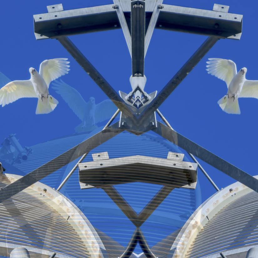 A digital composite image of a telecommunications tower and corellas against a blue sky