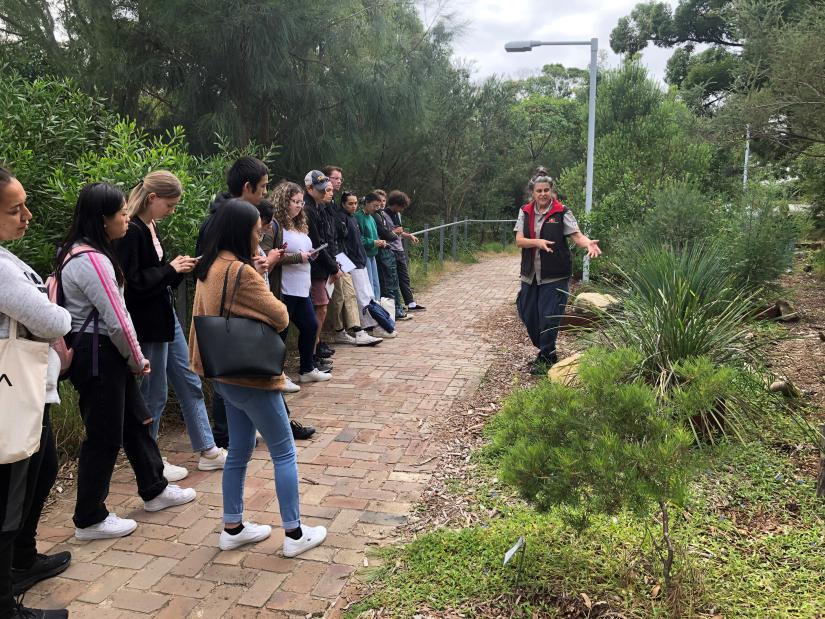 student standing near native garden listening to explanations about the plants