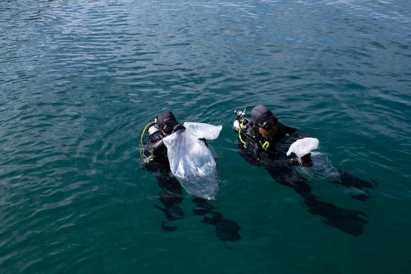 Two divers in the ocean hold plastic bags containing seahorses ready for release