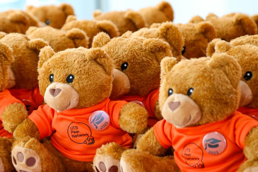 Peer Network merchandise bears