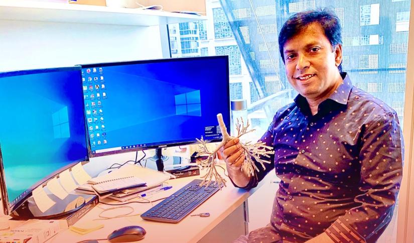 Dr Suvash Saha at his desk with a 3D model of the "tree" of the human respiratory system