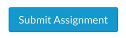 Submit assignment button view