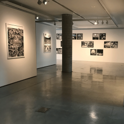Inside UTS Gallery space with polished concrete floors and artworks on the walls
