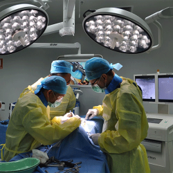 Three people in surgical gowns, working in the UTS surgical and anatomy labs
