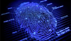 A digital scan of a fingerprint with datapoints