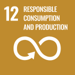 UN SDG icon: Goal 12. Responsible consumption and production
