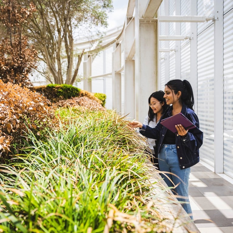 Two students observing plants on the UTS campus.