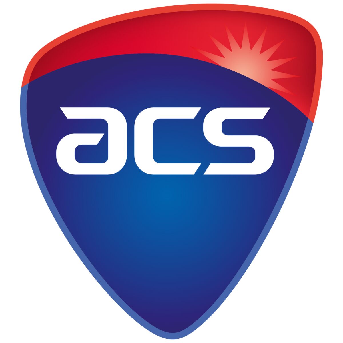 ACS logo