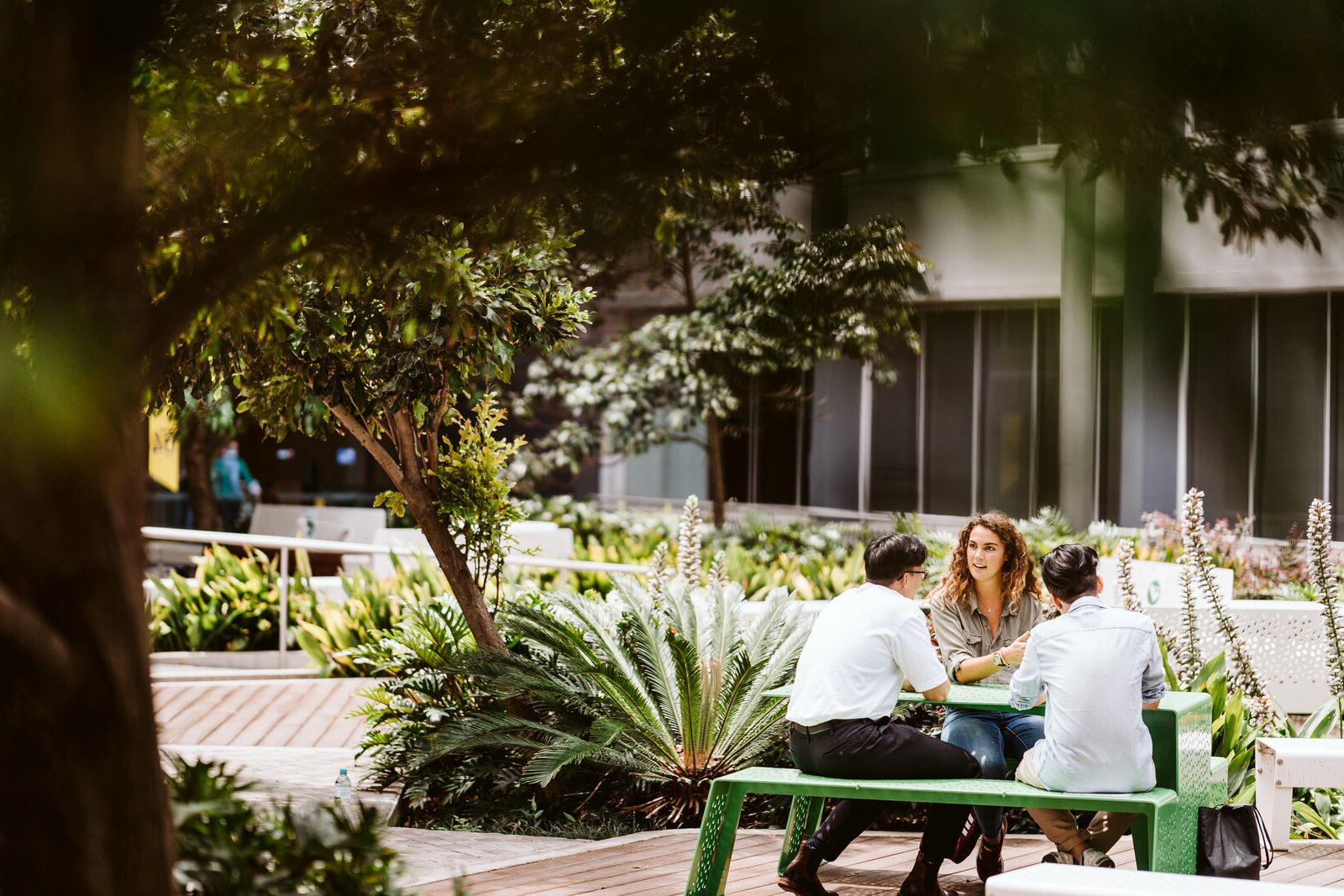 6 students conversing and standing on Alumni Green at UTS outdoors
