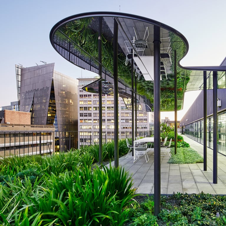 The UTS Faculty of Science green roof, with a large, mirrored pergola reflecting a vibrant green garden.