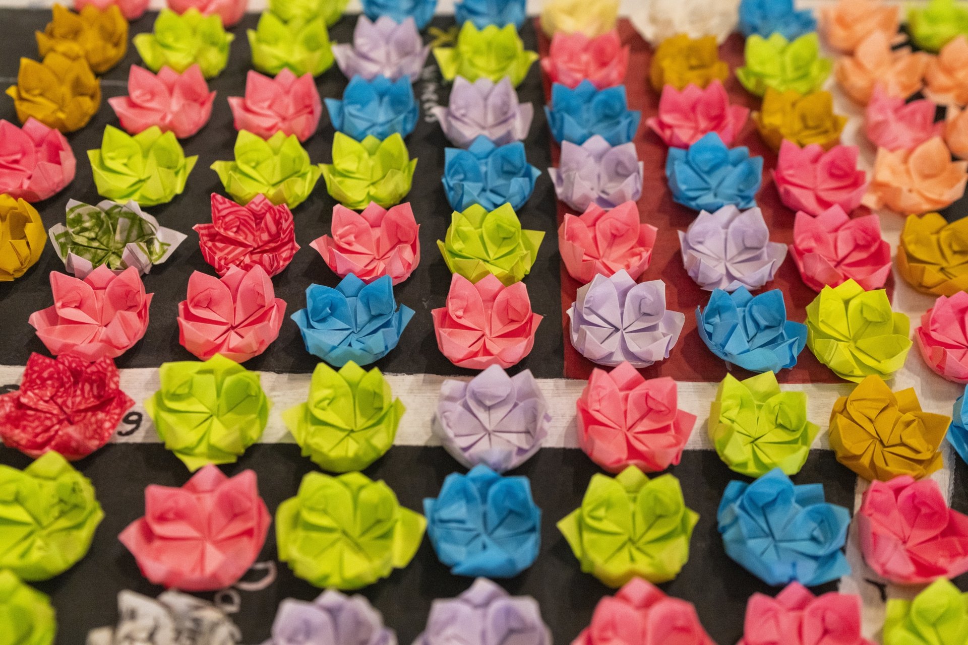 Bachelor of Design in Visual Communication