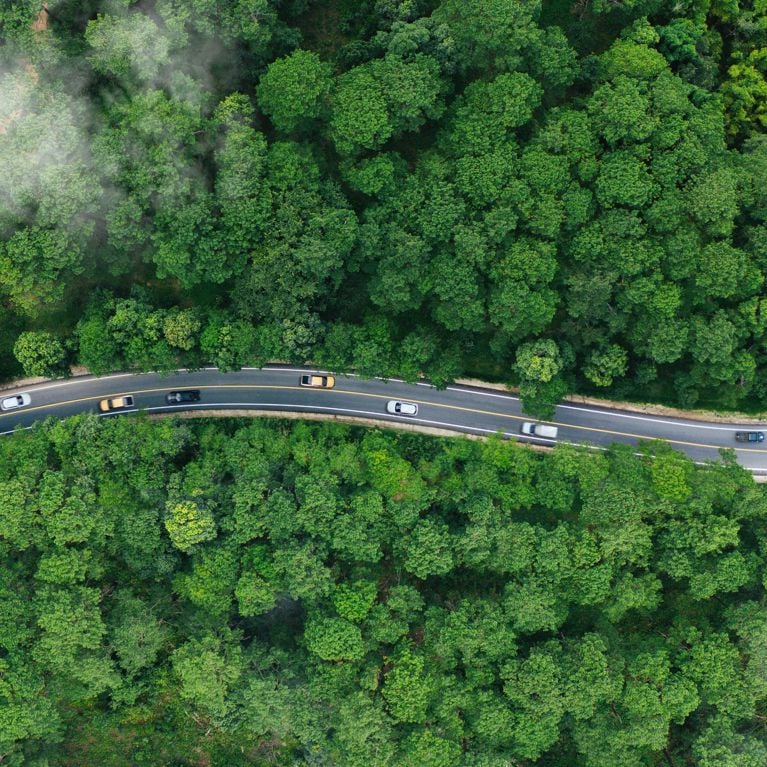 Close-up macro photograph of a green leaf showing its cellular structure and vein network