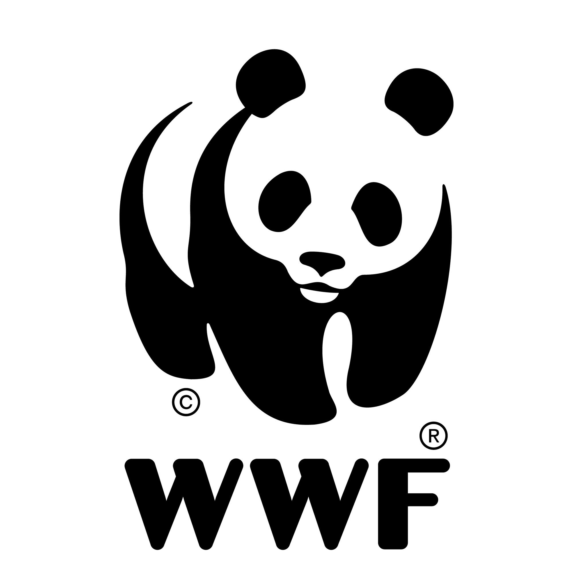 WWF logo of a bear