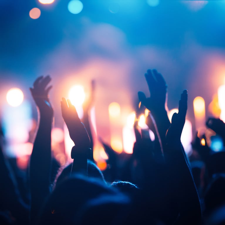 Picture of party people at music festival. Picture: NDABCREATIVITY/Adobe Stock