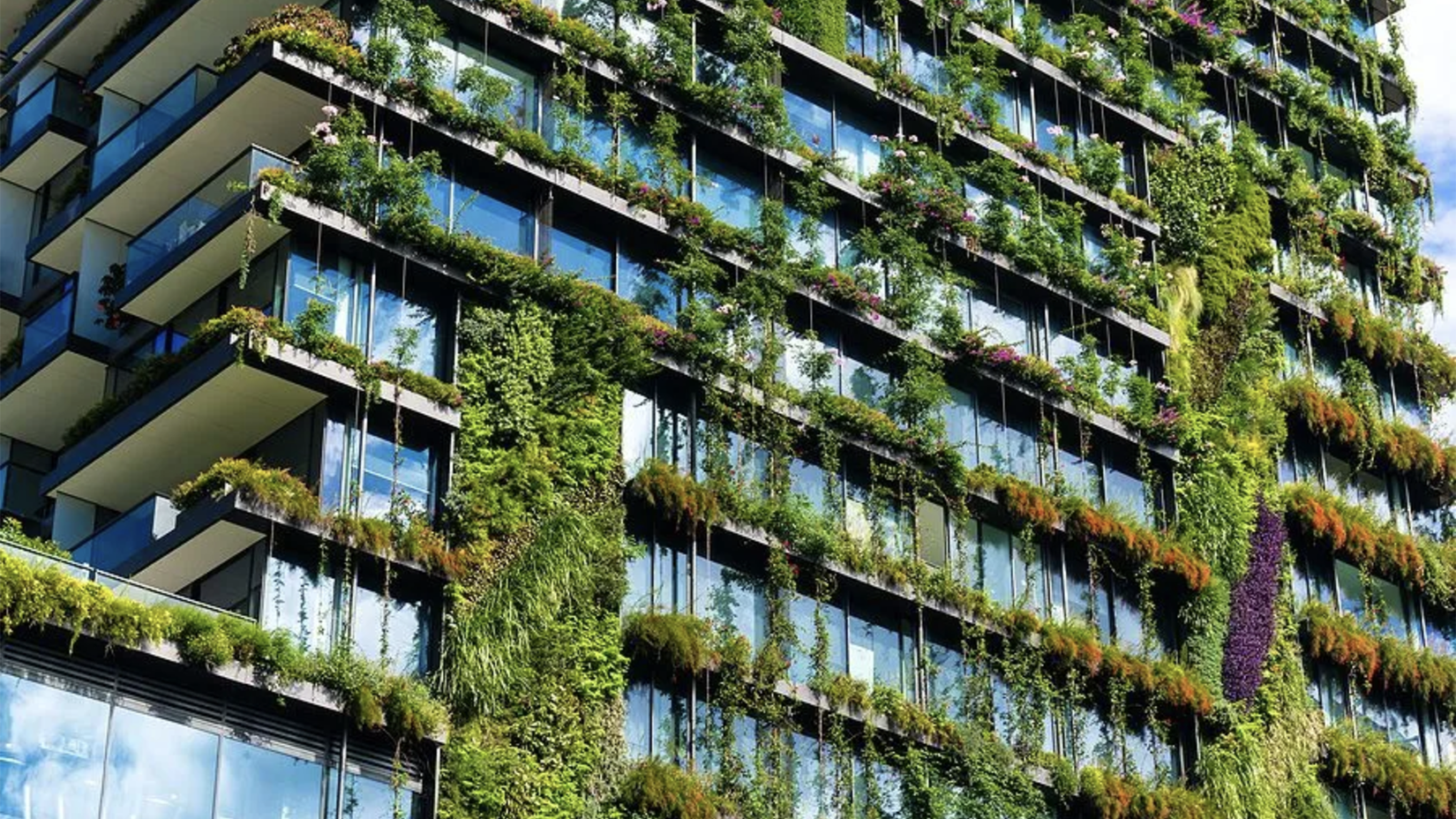Apartment block with vertical gardens