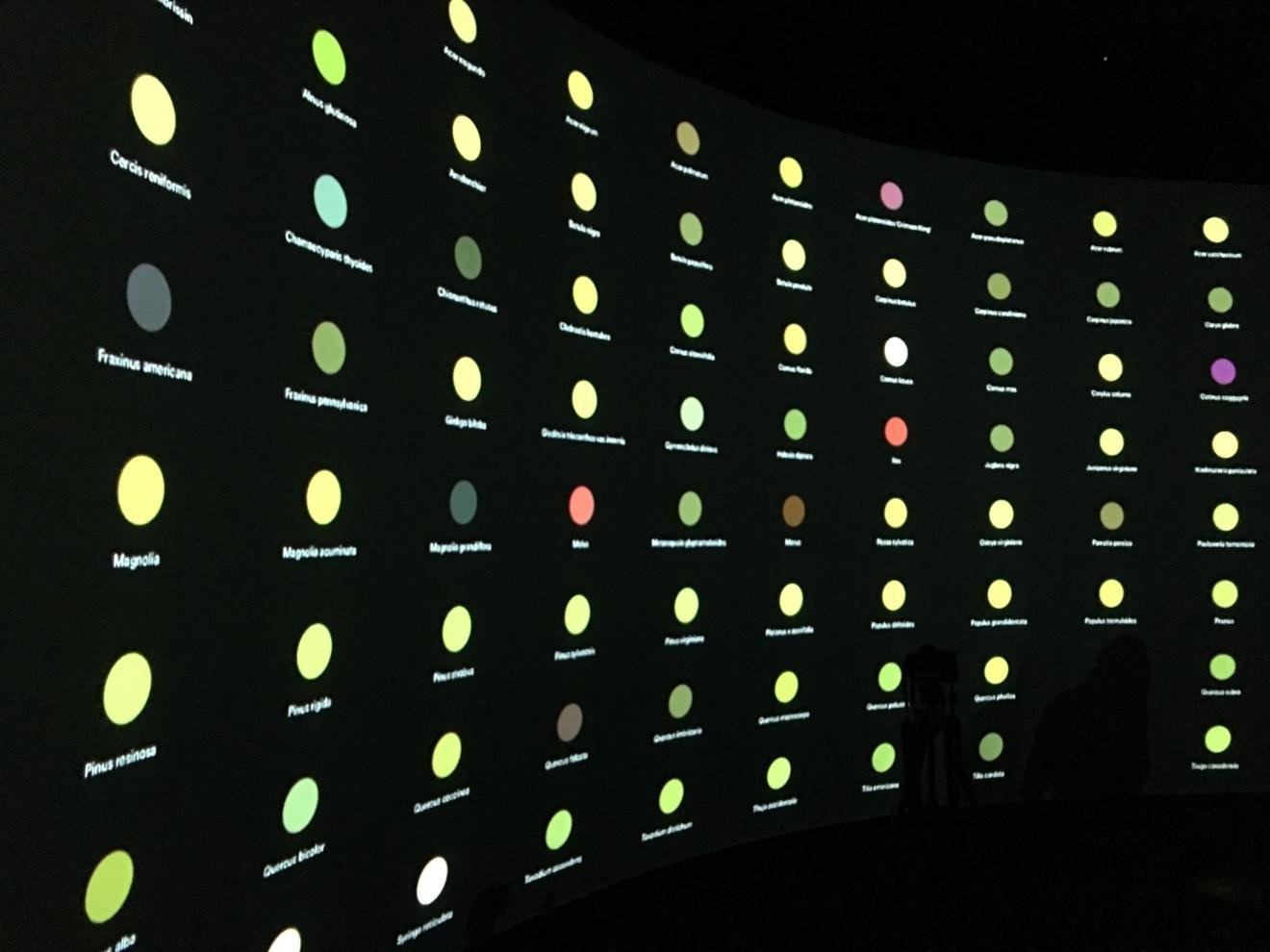 coloured circles projected on the data arena