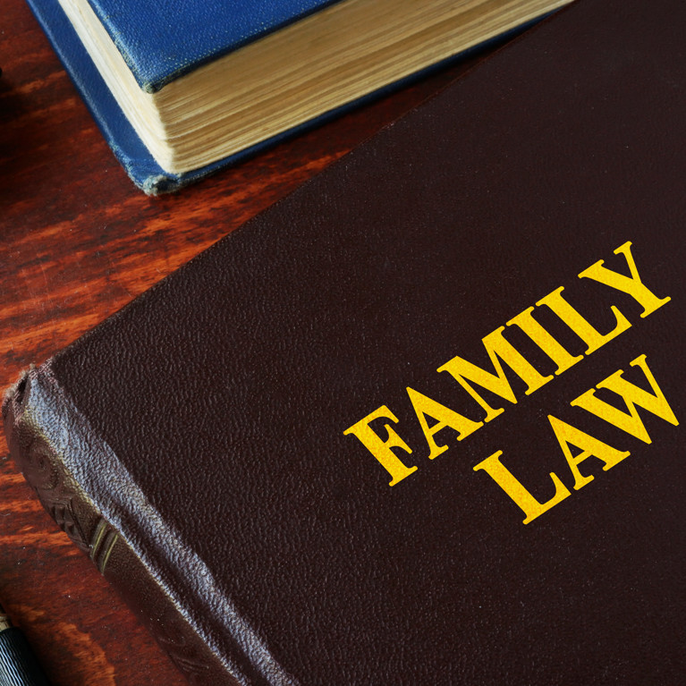 Image of a Family Law book on a table next to a pen