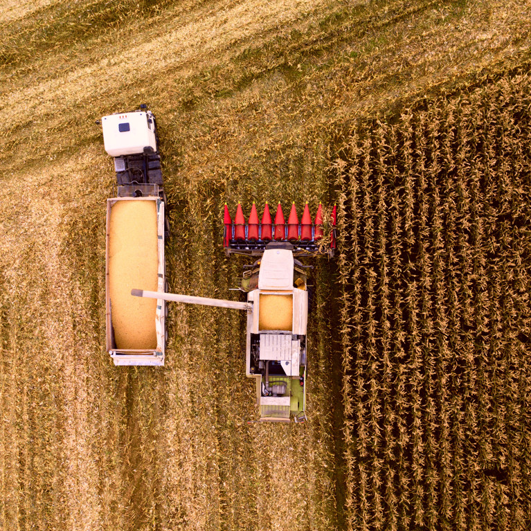 Combine harvester and truck