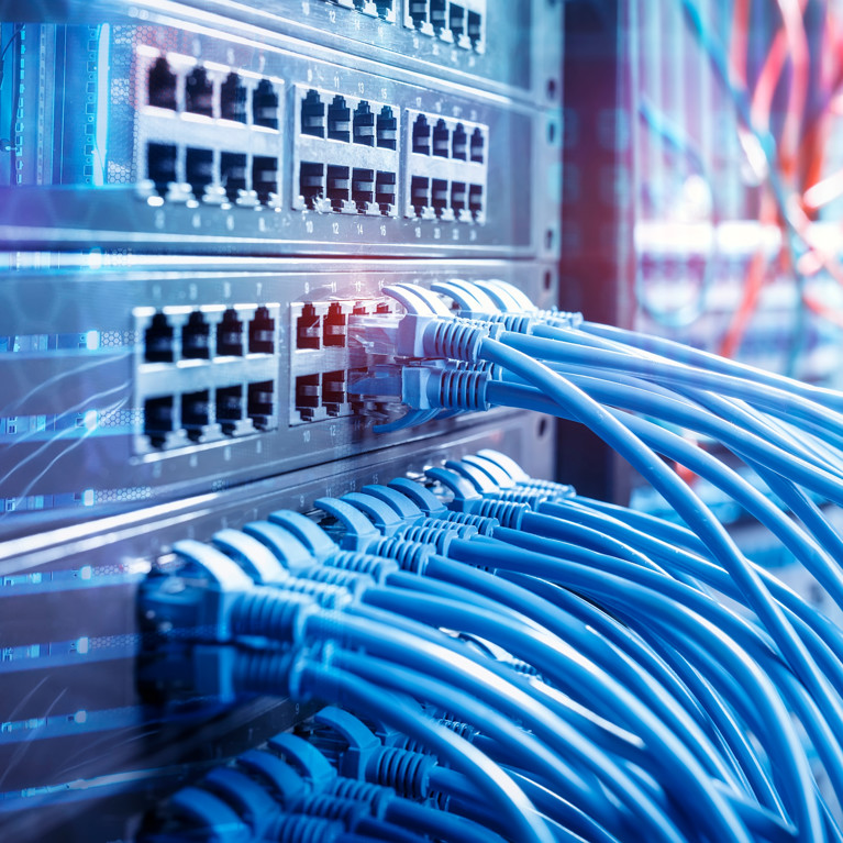 Close-up of a network server panel with numerous blue Ethernet cables connected. The scene is well-organised, suggesting efficient data management.