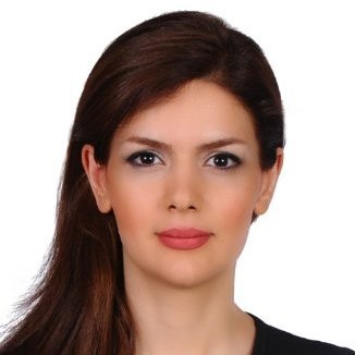 Dr Marokh Abdollahi Lorestani