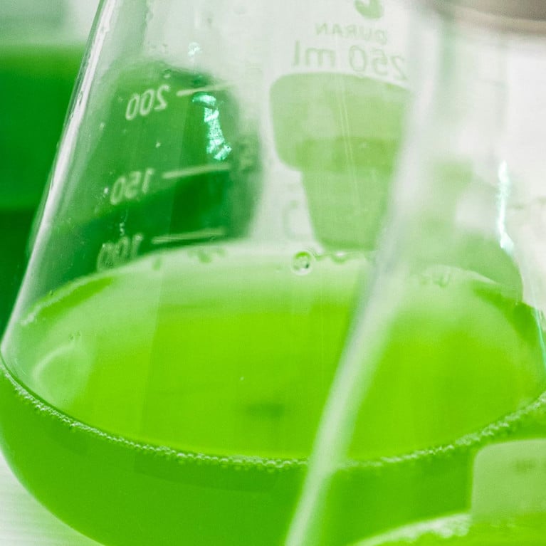glass flasks with green liquid in them