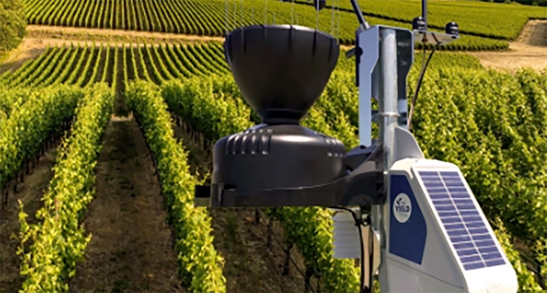 Photo of a Yield sensor in a vineyard