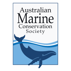 The words Australian Marine Conservation Society rest above a whale swimming in the sea