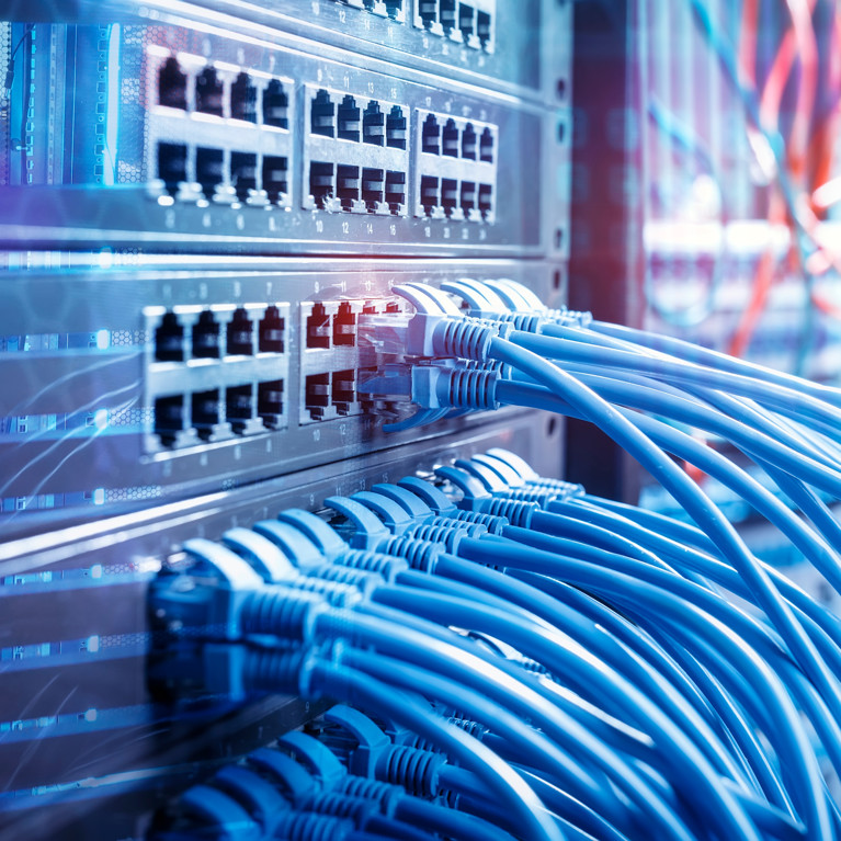 Close-up of a network server panel with numerous blue Ethernet cables connected. The scene is well-organised, suggesting efficient data management.