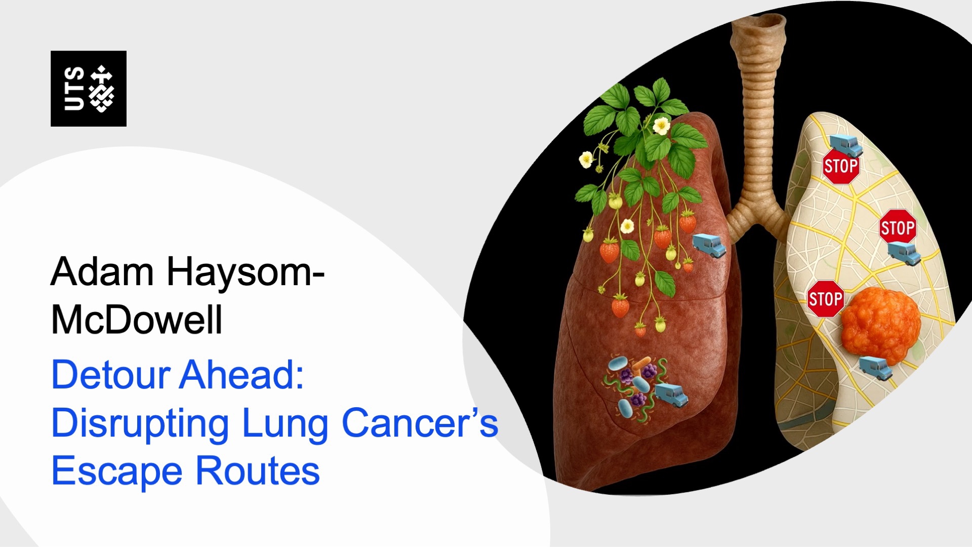 Alt text: "Illustration of human lungs with plants and stop signs. Left lung shows green plants and pathways; right lung features stop signs and cancer cells, symbolizing research on blocking cancer spread. Text reads 'Adam Haysom-McDowell, Detour Ahead: Disrupting Lung Cancer’s Escape Routes' with UTS logo."
