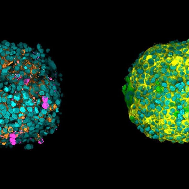 The wonderful, fluorescent, massive world of tiny, invisible things