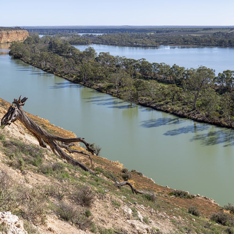River Murray landscape, looking down across the river and backwaters, river cliffs on a bright sunny winter day, South Australia.
By Steven Adobe Stock